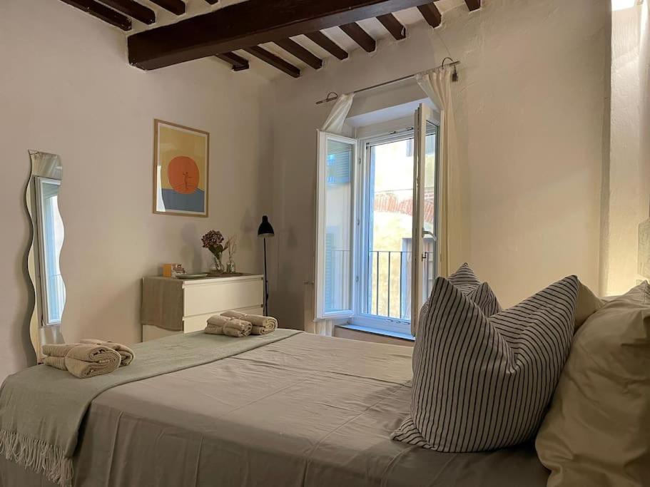 Casa Storica Nel Cuore Di Pisa - Lungarno Buitenkant foto