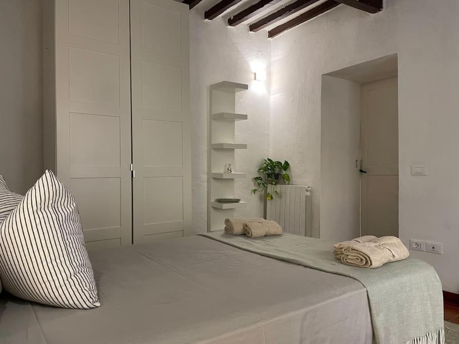 Casa Storica Nel Cuore Di Pisa - Lungarno Buitenkant foto